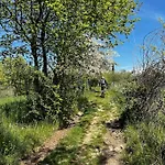 Bellavista - Grande Giardino Privato, Tranquillita, Panorama Caprino Veronese